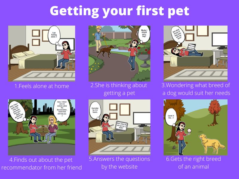 Storyboard - Getting your first pet