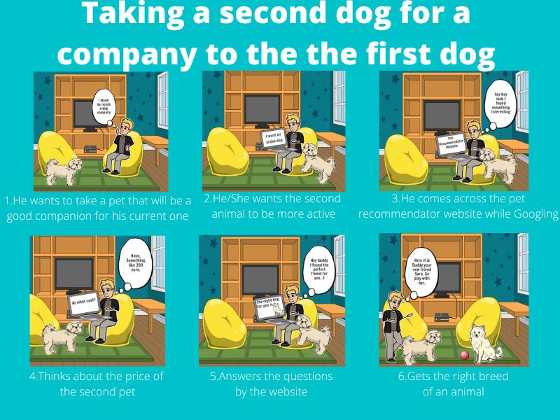 Storyboard - Taking a second dog